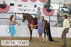13r14_1045 thumbnail