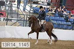 13r14_1145 thumbnail
