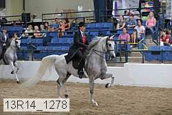13r14_1278 thumbnail