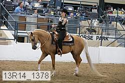 13r14_1378 thumbnail