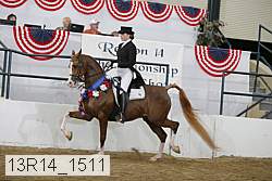 13r14_1511 thumbnail