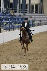 13r14_1539 thumbnail