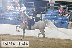 13r14_1544 thumbnail