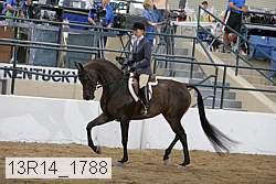 13r14_1788 thumbnail