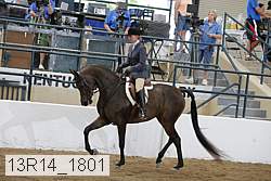 13r14_1801 thumbnail