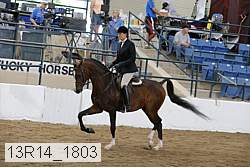 13r14_1803 thumbnail