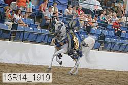 13r14_1919 thumbnail