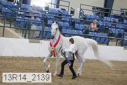 13r14_2139 thumbnail