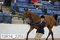 13r14_2253 thumbnail