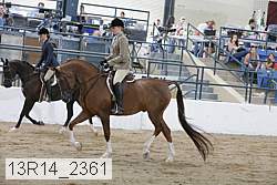 13r14_2361 thumbnail