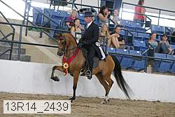 13r14_2439 thumbnail