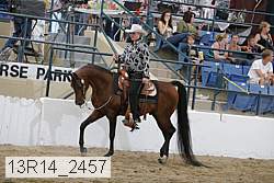 13r14_2457 thumbnail