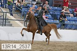 13r14_2537 thumbnail