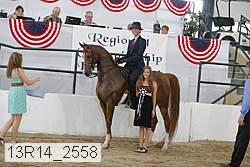 13r14_2558 thumbnail