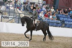 13r14_2692 thumbnail
