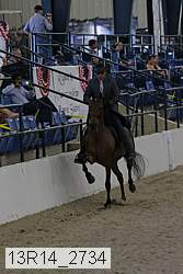 13r14_2734 thumbnail