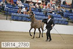 13r14_2780 thumbnail