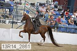13r14_2861 thumbnail
