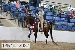 13r14_2937 thumbnail