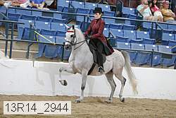 13r14_2944 thumbnail
