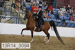 13r14_3094 thumbnail
