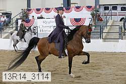 13r14_3114 thumbnail