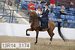 13r14_3174 thumbnail