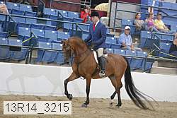 13r14_3215 thumbnail