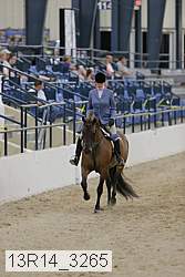 13r14_3265 thumbnail
