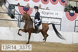 13r14_3375 thumbnail