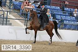 13r14_3390 thumbnail