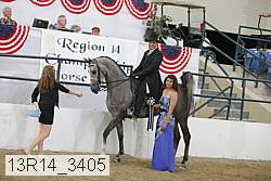 13r14_3405 thumbnail
