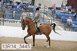 13r14_3445 thumbnail