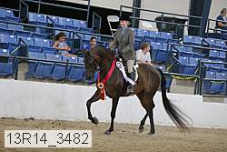 13r14_3482 thumbnail