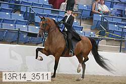 13r14_3511 thumbnail