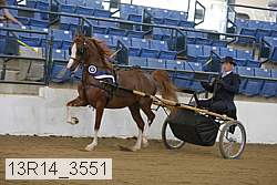13r14_3551 thumbnail