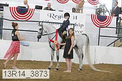 13r14_3873 thumbnail