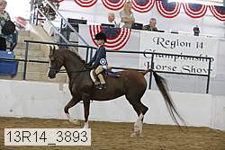 13r14_3893 thumbnail