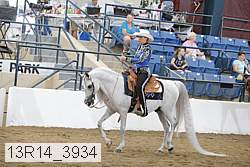 13r14_3934 thumbnail