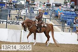 13r14_3935 thumbnail
