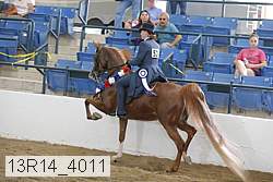 13r14_4011 thumbnail