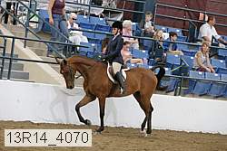 13r14_4070 thumbnail