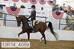 13r14_4089 thumbnail