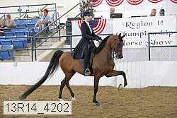 13r14_4202 thumbnail