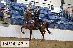 13r14_4225 thumbnail