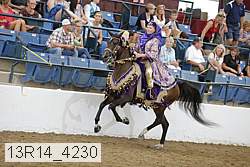 13r14_4230 thumbnail