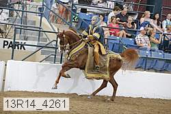 13r14_4261 thumbnail