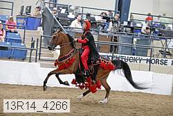 13r14_4266 thumbnail