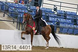 13r14_4401 thumbnail