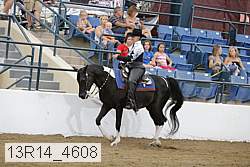 13r14_4608 thumbnail